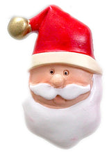 Holiday Resin Shower Curtain Hooks